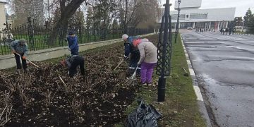 На эспланаде в Ульяновске начали разокучивать розы после зимы