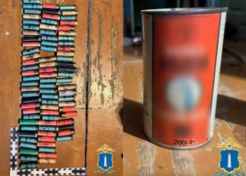 От 12-го калибра до мачете: что нашли полицейские в двух домах Ульяновской области