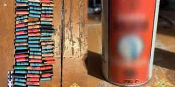 От 12-го калибра до мачете: что нашли полицейские в двух домах Ульяновской области