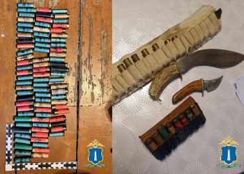 От патронов до мачете: что нашли полицейские в двух домах Ульяновской области