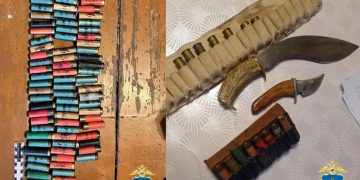 От патронов до мачете: что нашли полицейские в двух домах Ульяновской области