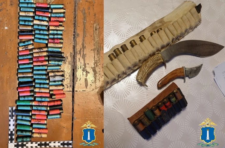 От патронов до мачете: что нашли полицейские в двух домах Ульяновской области