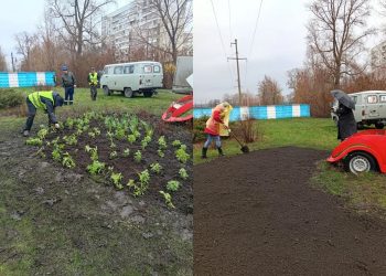 Автомобиль из растений: в Ульяновске завершают создание необычного цветника