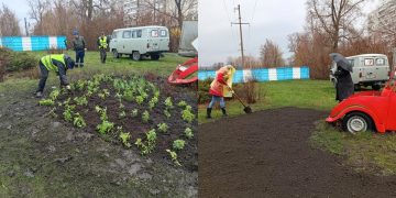 Автомобиль из растений: в Ульяновске завершают создание необычного цветника