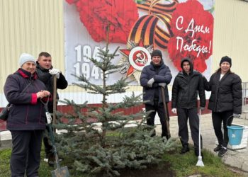 750 деревьев и кустарников высадили в Ульяновске с начала апреля