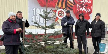 750 деревьев и кустарников высадили в Ульяновске с начала апреля