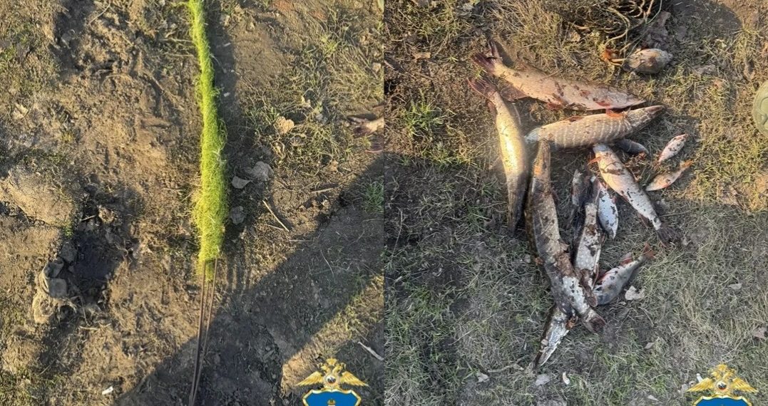 Рыбак с «пауком» из Новой Майны попал в сети полиции