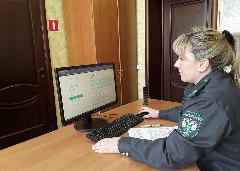 В Ульяновскую область из Казахстана ввезли зерно и семена с нарушениями