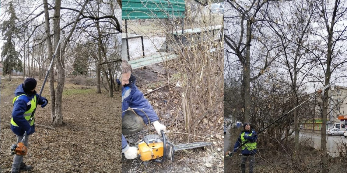 На Верхней Террасе в Ульяновске снесли 14 безнадёжных клёнов