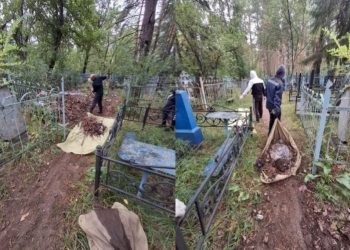 После критики губернатора Болдакин поручил усилить уборку кладбищ в Ульяновске