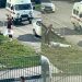 Мужчина выпал из окна 7-го этажа и погиб в Засвияжском районе Ульяновска
