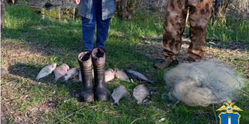 Браконьера с сетью и лещами задержали в Мелекесском районе Ульяновской области