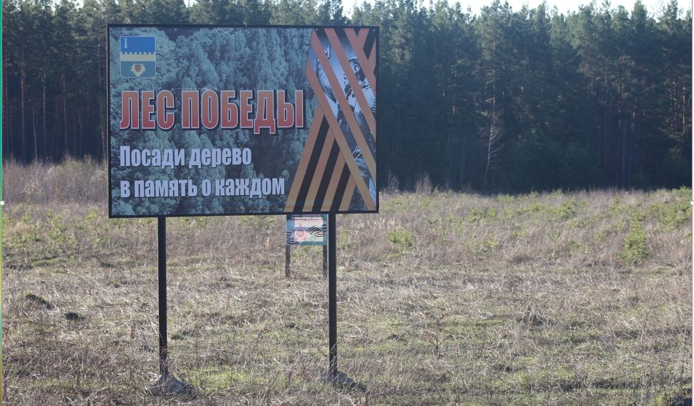 Вандализм в «Лесу Победы»: в Инзе повредили баннеры в память о героях войны