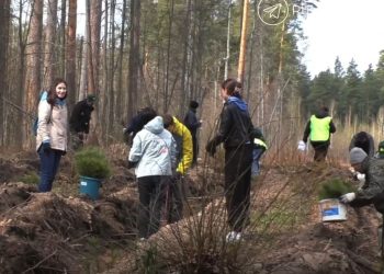 70 тысяч деревьев Победы: Русских дал старт «Саду памяти» в Ульяновской области