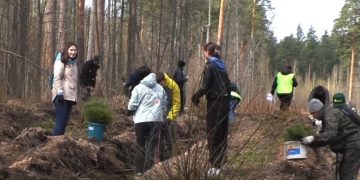 70 тысяч деревьев Победы: Русских дал старт «Саду памяти» в Ульяновской области