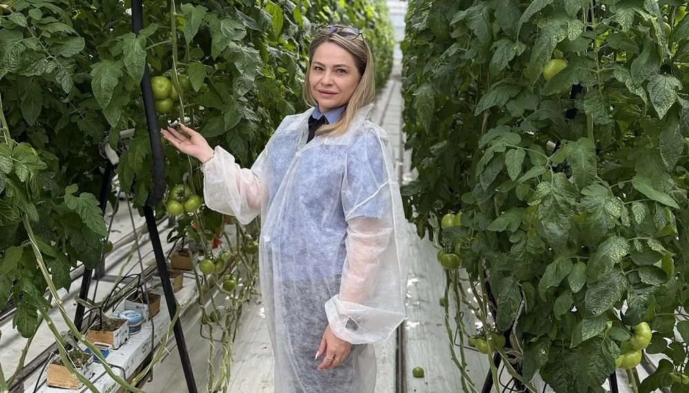 Огурцы, томаты и перец из ульяновского АО «Тепличное» проверят на остатки пестицидов