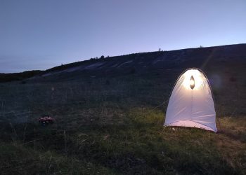 В «Сенгилеевских горах» обнаружили 279 видов ночных бабочек — и это только начало