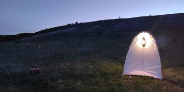 В «Сенгилеевских горах» обнаружили 279 видов ночных бабочек — и это только начало
