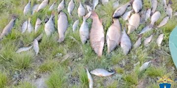 У старокулаткинского браконьера изъяли 7 сетей и 124 рыбины