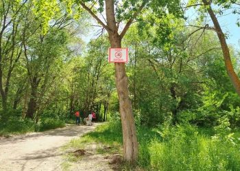 «Водные» рейды прошли в парке «Новое поколение» и на улице Шолмова