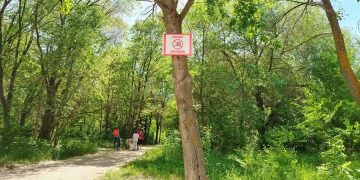 «Водные» рейды прошли в парке «Новое поколение» и на улице Шолмова