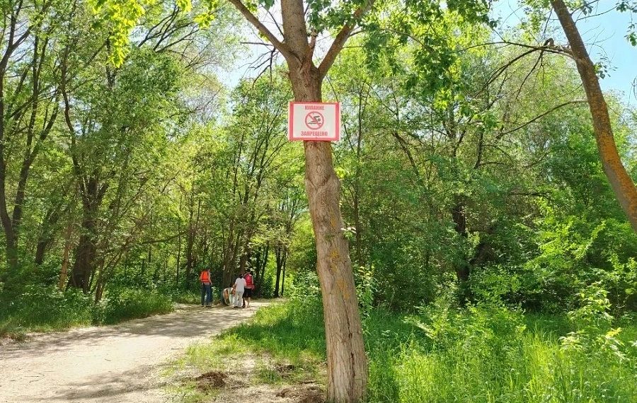 «Водные» рейды прошли в парке «Новое поколение» и на улице Шолмова