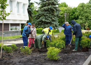 В Ульяновске 1700 растений высадили между УлГПУ и библиотекой за деньги инвестора