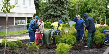 В Ульяновске 1700 растений высадили между УлГПУ и библиотекой за деньги инвестора