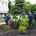 В Ульяновске 1700 растений высадили между УлГПУ и библиотекой за деньги инвестора