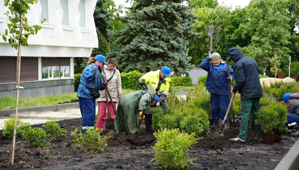 В Ульяновске 1700 растений высадили между УлГПУ и библиотекой за деньги инвестора