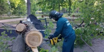 В парке Матросова убрали упавшее дерево