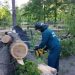 В парке Матросова убрали упавшее дерево