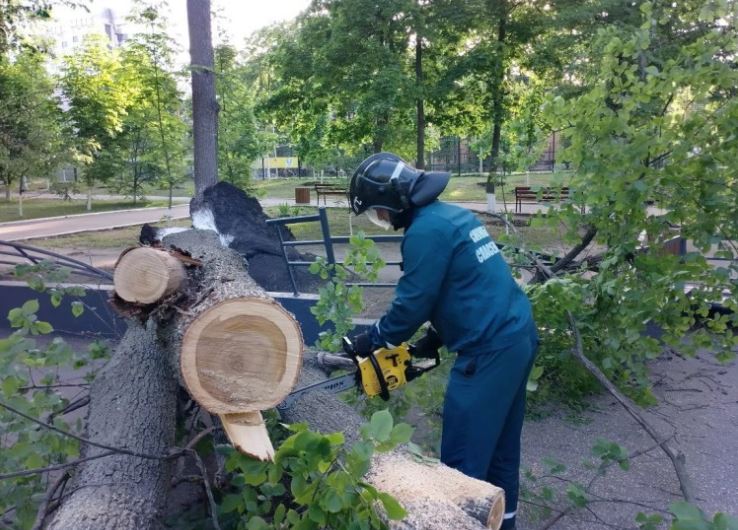 В парке Матросова убрали упавшее дерево