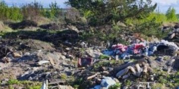 78% ульяновцев выступили за высокие штрафы за мусор из машин