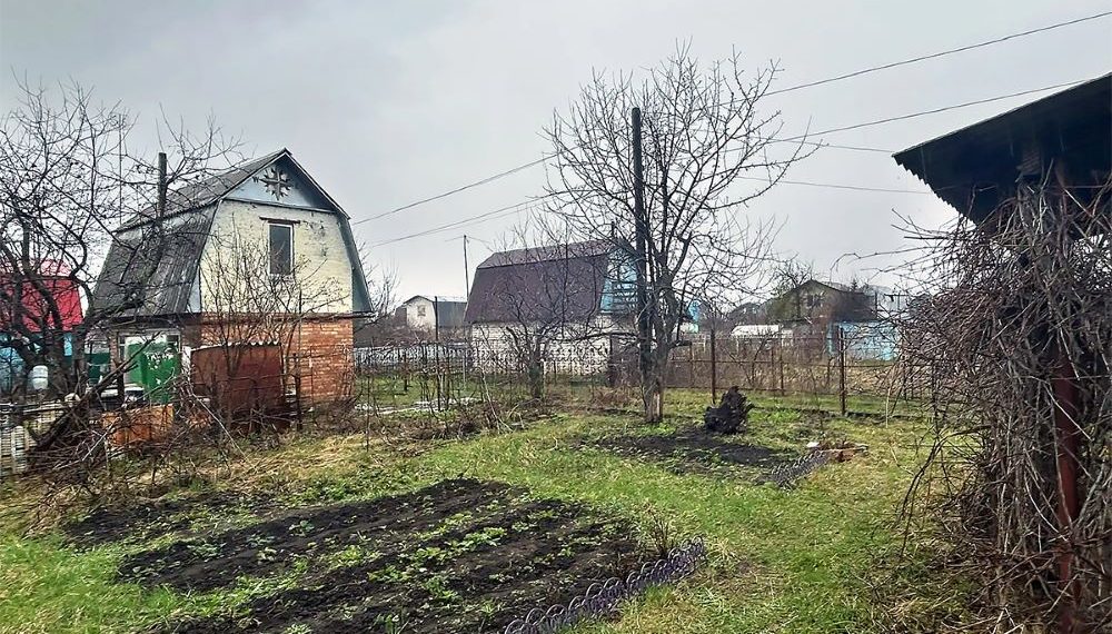 Ульяновским садоводам пообещали ₽83 млн на дороги, свет и воду