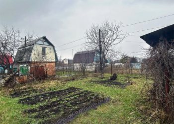 Ульяновским садоводам пообещали ₽83 млн на дороги, свет и воду