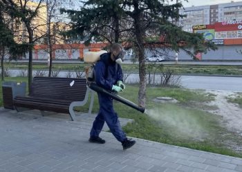 В Ульяновске начали обрабатывать парки и скверы от клещей