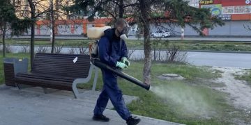 В Ульяновске начали обрабатывать парки и скверы от клещей