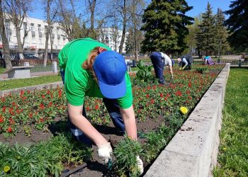 Более 12 000 цветов высадили за день в Ульяновске специалисты Горзеленхоза