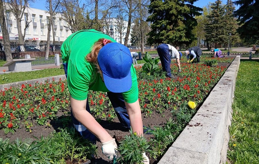 Более 12 000 цветов высадили за день в Ульяновске специалисты Горзеленхоза