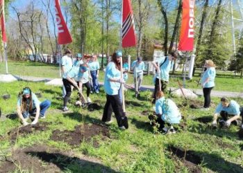 В парке Победы Ульяновска высадили 50 кустарников и тысячу бархатцев