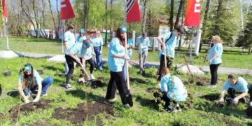 В парке Победы Ульяновска высадили 50 кустарников и тысячу бархатцев