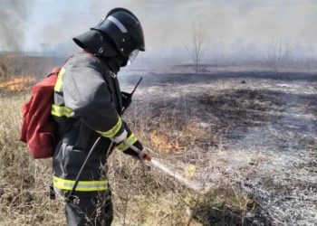 374 пожара с начала года: в Ульяновске проверят садоводов и частный сектор