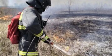 374 пожара с начала года: в Ульяновске проверят садоводов и частный сектор