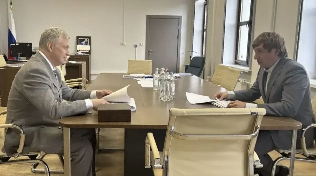 Заявка, гранты, слёты: Ульяновская область и Росмолодежь обсудили ключевые проекты