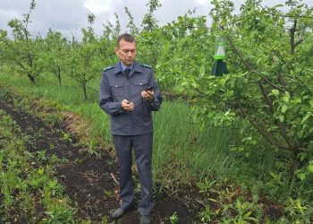 Ульяновские сады начали проверять на вредителей