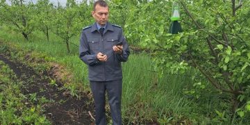 Ульяновские сады начали проверять на вредителей