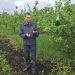 Ульяновские сады начали проверять на вредителей