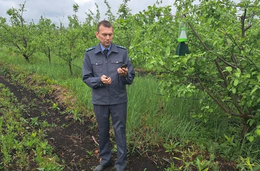 Ульяновские сады начали проверять на вредителей
