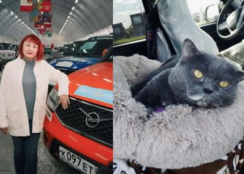 Из Барнаула через Ульяновск: главбух на УАЗе с котом покоряет 15 тысяч км